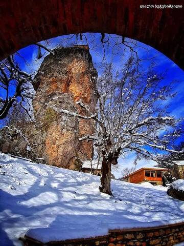 Фото Гостевой дом Butichi Guest House г. Chiatʼura 5